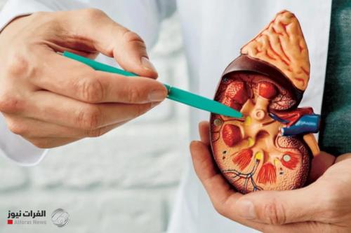 علاج ثوري قد يُنهي عذاب حصوات الكلى