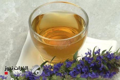 10 مشروبات ليلية تساعد على إنقاص الوزن