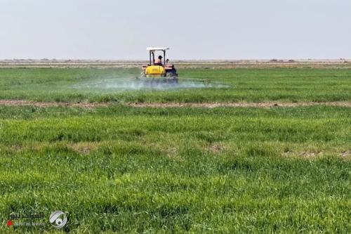 مستشار حكومي: تقليص مساحة الخطة الزراعية الصيفية