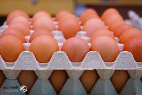 الكمارك توجه بإدخال بيض المائدة بعد أزمة غلاء غزت الأسواق المحلية