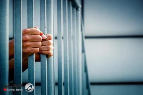 رئيس المحكمة الجنائية المركزية يحدد المشمولين بالعفو العام