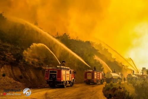 النيران تلتهم غابات تركيا.. ورجال الإطفاء يكافحون لإخمادها