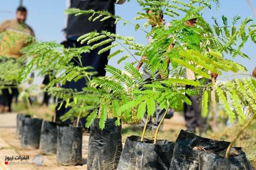 السوداني يوجه بالاستعداد للزيارة الاربعينية وإطلاق حملة تشجير كبرى