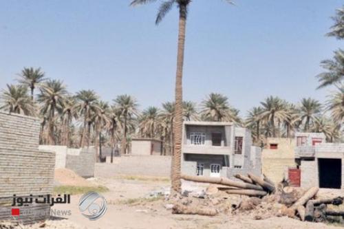 أمانة بغداد تعلن عن آلية جديدة لتنظيم دخول المواد الإنشائية إلى المناطق الزراعية