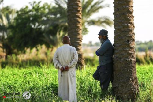 الزراعة تكمل تعليمات التقاعد وترسل قوائم المتفرغين لشمولهم بالضمان