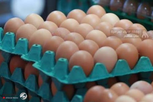 التجارة تحدد تسعيرة رسمية لطبقة البيض