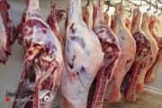 الزراعة تكشف أسباب استمرار ارتفاع أسعار اللحوم والأسماك