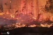 حرائق الغابات في مقاطعة كولومبيا البريطانية الكندية تجبر الآلاف على الإخلاء