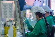 إيطاليا تحذر من تفشي فيروس قاتل وتطالب بخطة لمكافحته