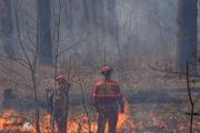 كندا: إجلاء آلاف السكان جراء حرائق الغابات في البلاد