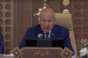 أبو الغيط يعلن إعداد استراتيجية عربية شاملة للأمن الغذائي