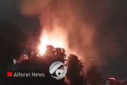 لا إصابات.. حريق يلتهم أشجار نخيل على كورنيش النيل في مصر
