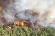 النفط يرتفع بفعل حرائق الغابات في كندا