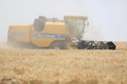 وزير الزراعة يعلن موعد نهاية موسم الحصاد ويتوقع الكميات المسوقة
