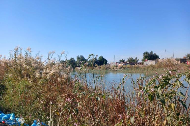 photo 2025 08 29 13 07 57