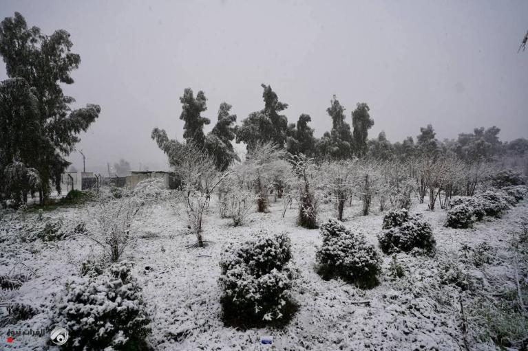 photo 2026 01 23 09 34 00